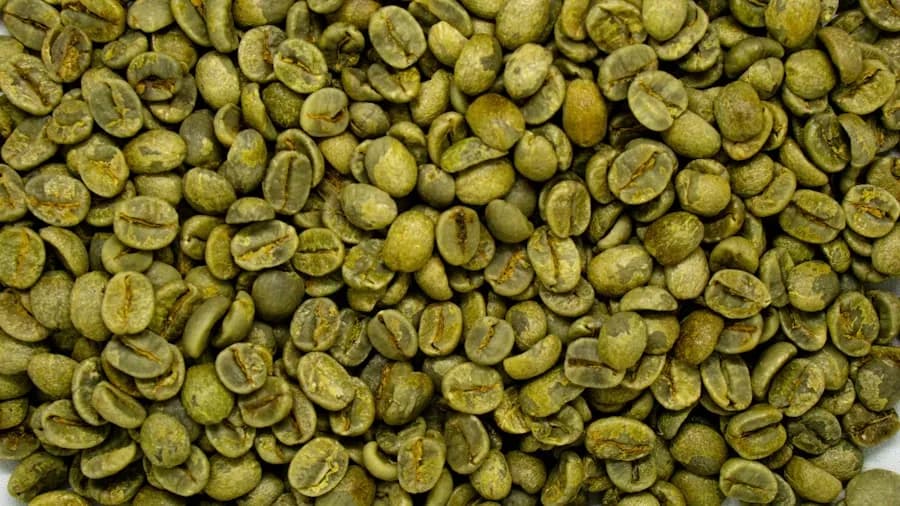 Pile of green coffee beans